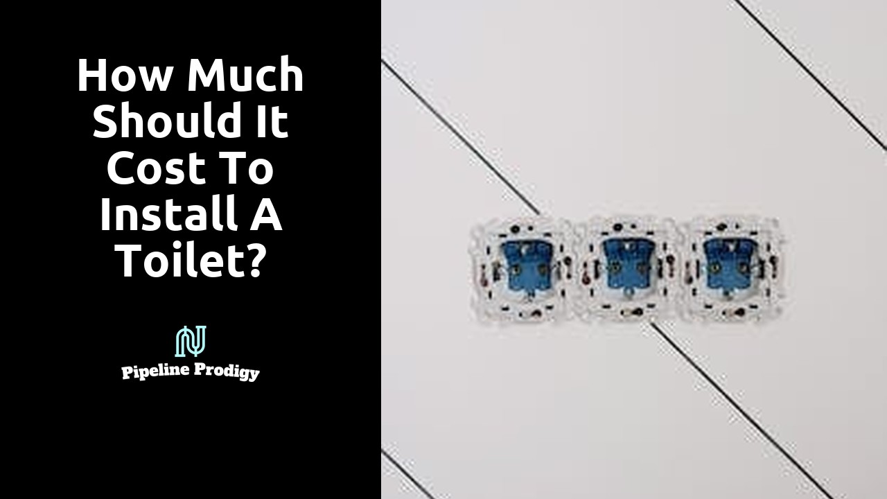 How much should it cost to install a toilet?