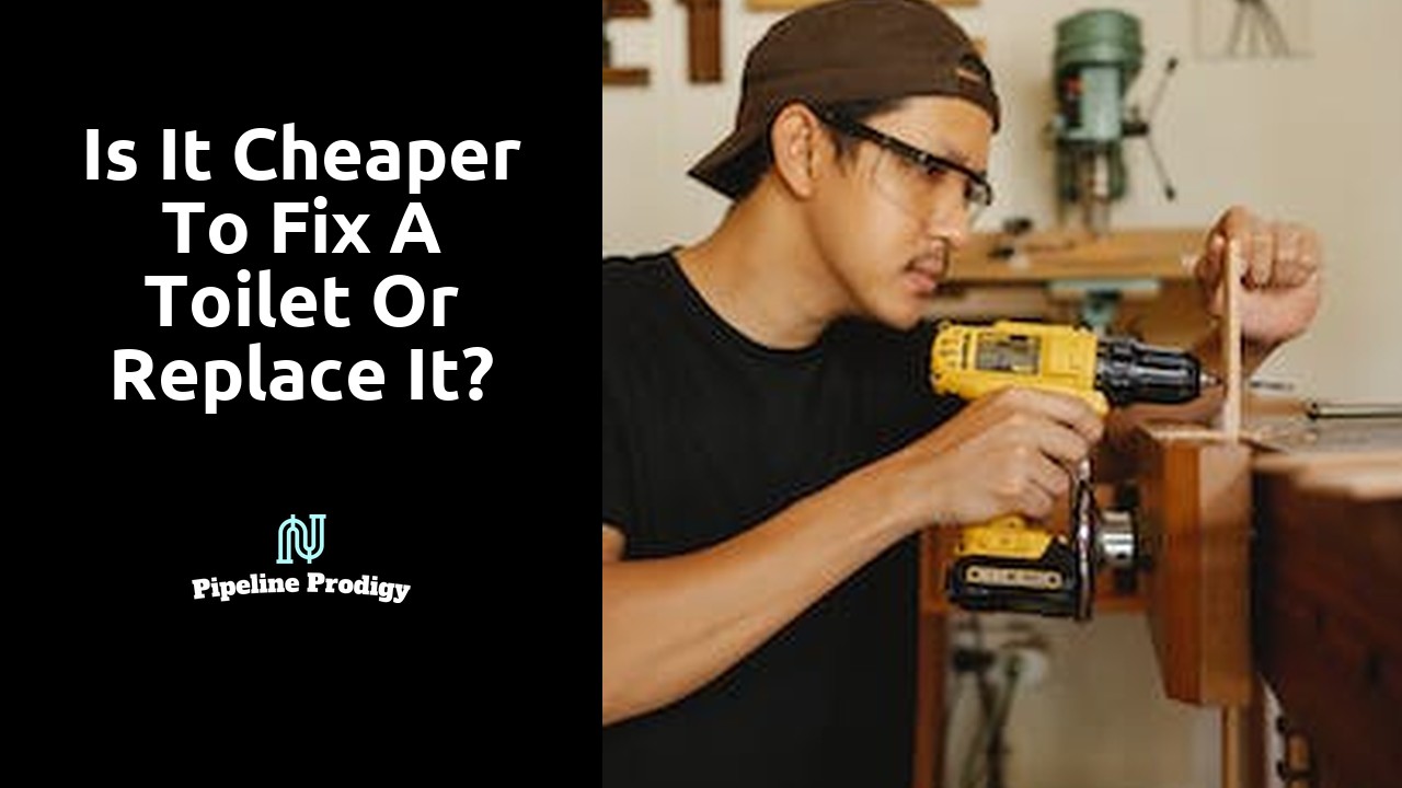 Is it cheaper to fix a toilet or replace it?
